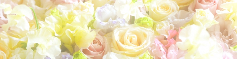 �߂΂����T�C�g